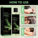 Shampoo de Alecrim para Crescimento Capilar